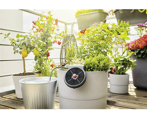 Balkón se spoustou rostlin v květináčích a solárním zavlažováním