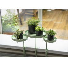 Podnos na rostliny na okenní parapet se čtyřmi rostlinami v květináčích