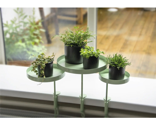 Podnos na rostliny na okenní parapet se čtyřmi rostlinami v květináčích