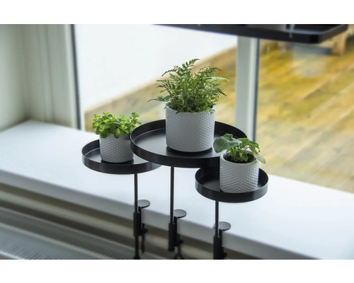 Květinový stolek se třemi rostlinami v květináčích na okenním parapetu