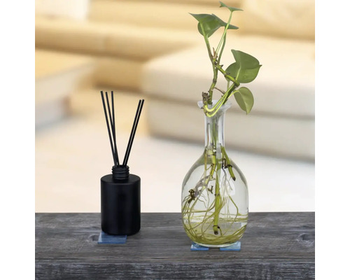 Dekorativní aranžmá s vonnými tyčinkami a rostlinou ve skleněné váze na stole