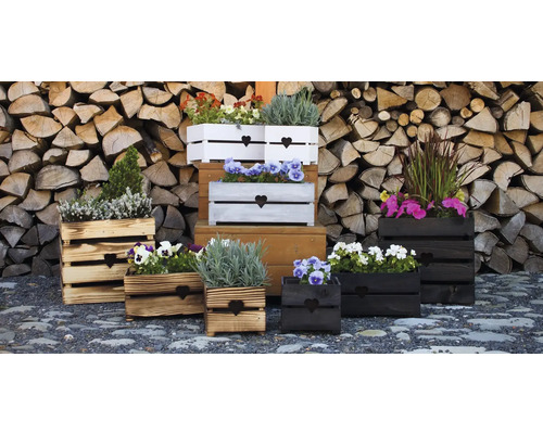 Dekorativní dřevěné truhlíky s motivem srdce a různými rostlinami před hromadou dřeva.