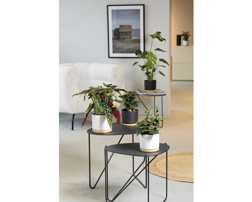 Obývací pokoj s pokojovými rostlinami na odkládacích stolcích