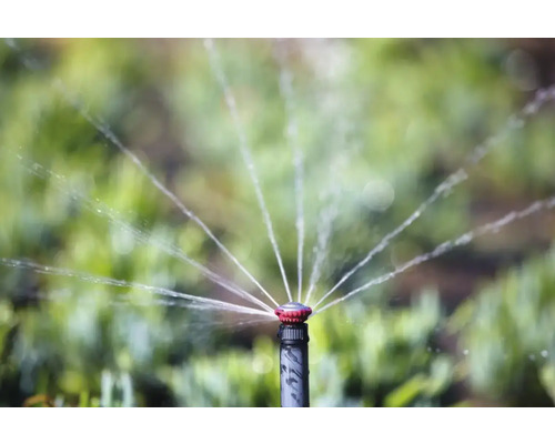 Zavlažovač trávníku zavlažuje trávník