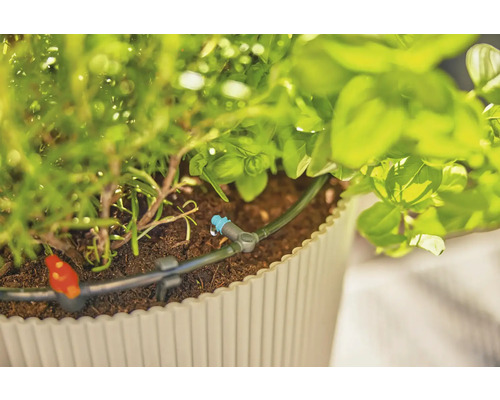 Zavlažovací systém v květináči s bylinkami