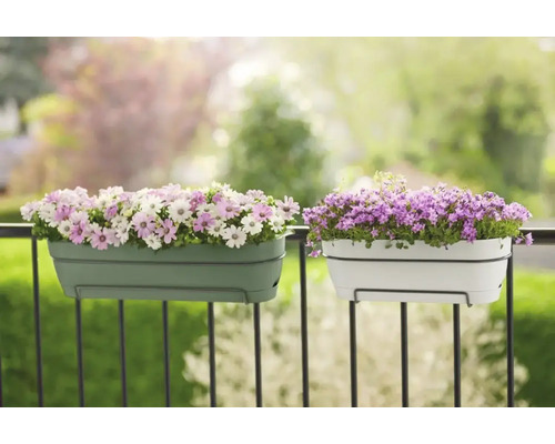 Dva truhlíky s květinami na balkonovém zábradlí