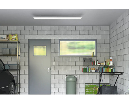 Garáž s regály, dveřmi, oknem a stropním světlem.