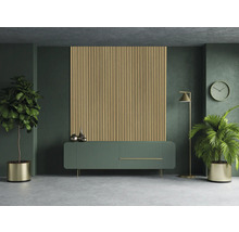 Obývací pokoj s akustickým panelem, příborníkem, stojací lampou, hodinami a rostlinami