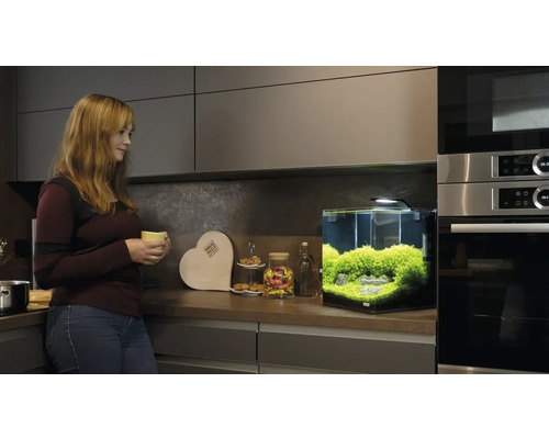 Akvárium s rostlinami v moderní kuchyni