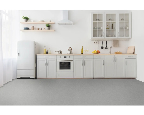 Světlá kuchyně s kuchyňským nábytkem, spotřebiči a policemi na nádobí a dekorace