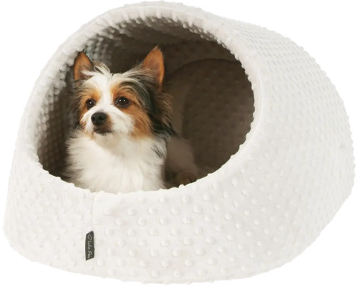 Pes v bílé psí boudě s hrbolatou strukturou