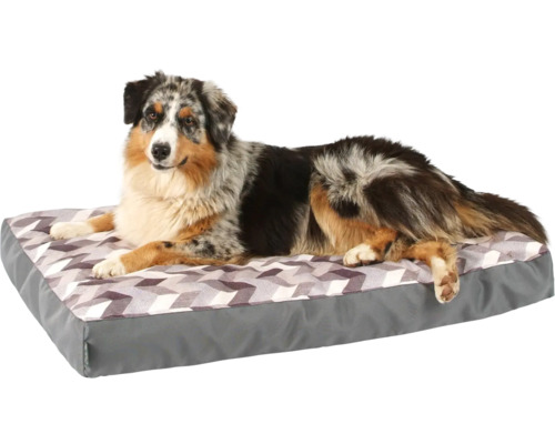 Pes leží na pelíšku s geometrickým vzorem