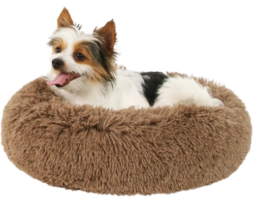 Pes leží v kulaté hnědé psí posteli.