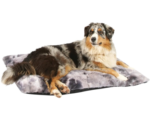 Pes leží na obdélníkovém psím lůžku.