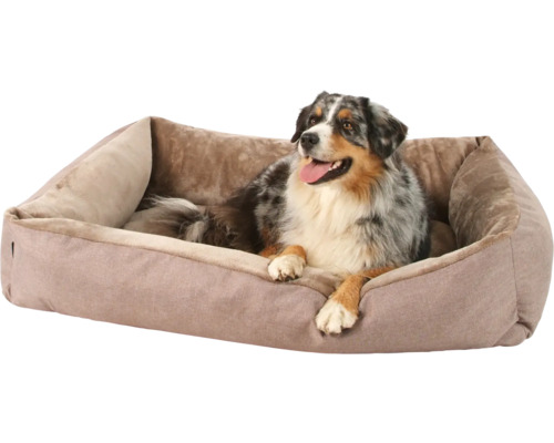 Pes leží v obdélníkové psí posteli s vysokým okrajem