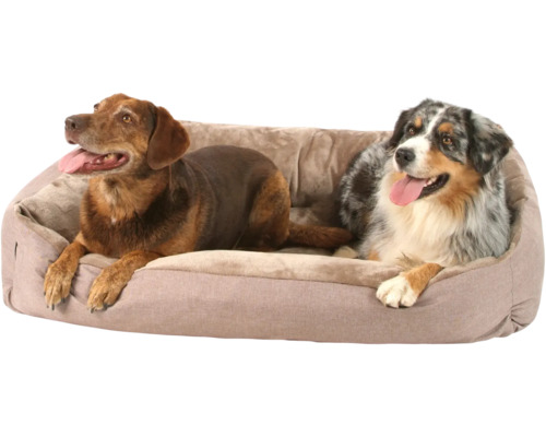 Dva psi leží v pelíšku