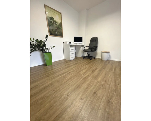 Světlá místnost s laminátovou podlahou, psacím stolem, kancelářskou židlí a pokojovou rostlinou
