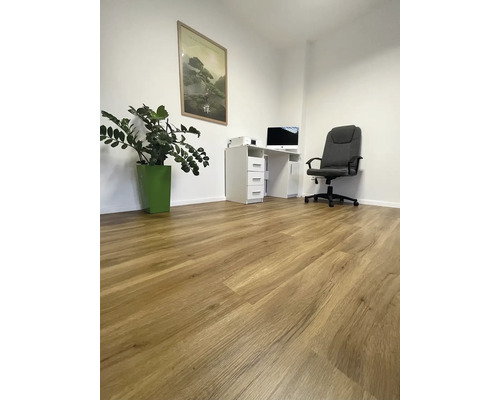 Světlá místnost s laminátovou podlahou se vzhledem dřeva, psacím stolem, kancelářskou židlí a pokojovou rostlinou