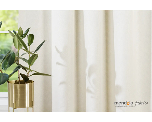 Dekorativní domácí prostředí se závěsem a pokojovou rostlinou v květináči