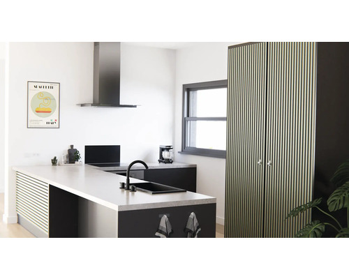 Moderní kuchyně s kuchyňským ostrovem, digestoří a vysokou skříní