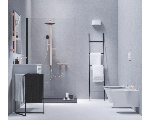 Moderní koupelna se sprchou, umyvadlem, držákem na ručníky, žebříkovým regálem a toaletou.