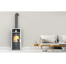 Krbová kamna s kouřovodem v obývacím pokoji