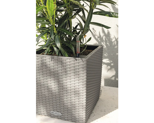 Rostlina v květináči Lechuza s vlhkoměrem