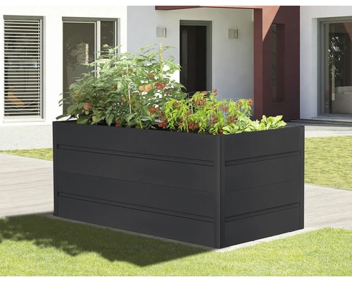 Kovový vyvýšený záhon s rostlinami rajčat na zahradě