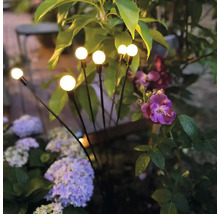 Zahradní osvětlení s kulovými lampami mezi rostlinami a květinami