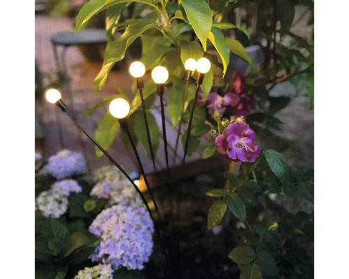 Zahradní osvětlení s kulovými lampami mezi rostlinami a květinami