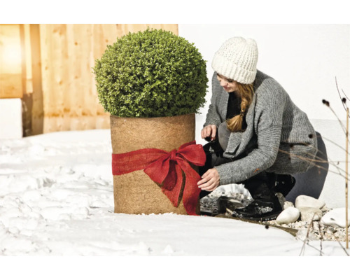 Žena zdobí hrnkovou rostlinu v zimě červenou stuhou