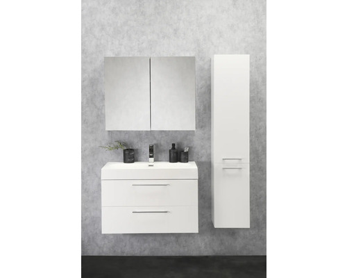 Koupelna s umyvadlovou skříňkou, zrcadlovou skříňkou a vysokou skříňkou