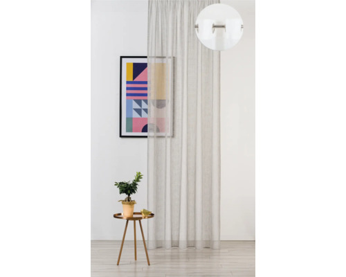 Interiér s průhledným závěsem, stolem s rostlinou a zarámovaným obrazem na zdi