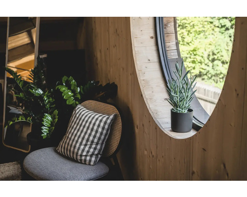 Dřevěný pokoj s kulatým oknem, židlí a pokojovými rostlinami