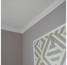 Roh místnosti se stropní lištou a dekorací na stěnu