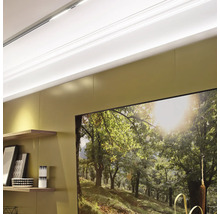 Obývací pokoj s policemi a obrazem lesa