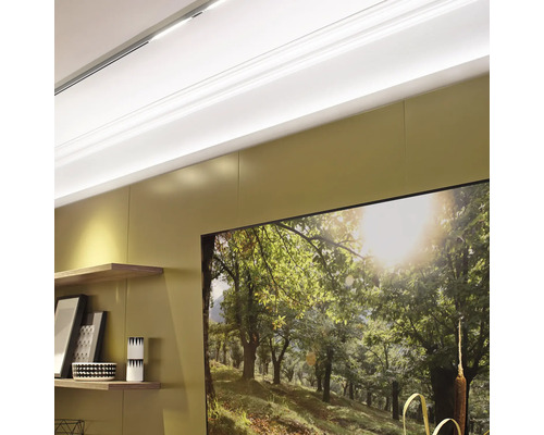 Obývací pokoj s policemi a obrazem lesa