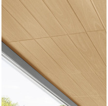 Dřevěný strop s oknem