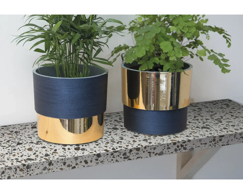 Dvě pokojové rostliny v květináčích s dřevěnou strukturou a zlatým akcentem na pracovní desce