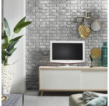 Obývací pokoj s televizí, komodou, pokojovou rostlinou a dekorací na cihlové zdi