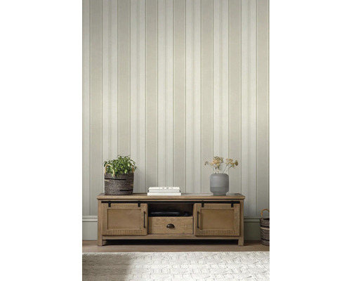 Obývací pokoj s obkladovou tapetou, televizním nábytkem a dekorací