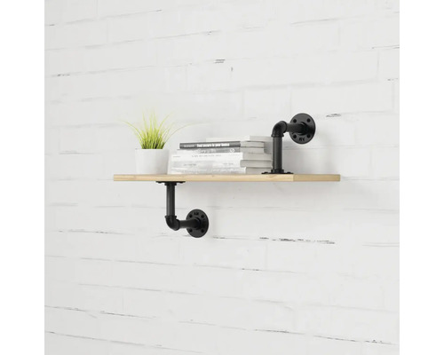 Nástěnná police s dřevěnou deskou a černým kovovým trubkovým držákem, zdobená knihami a hrnkovou rostlinou