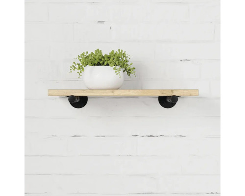Dřevěná nástěnná police s černým kovovým držákem a hrnkovou rostlinou