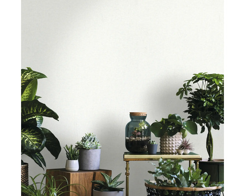 Interiér s různými pokojovými rostlinami na stolech a policích, světlá a přátelská atmosféra.