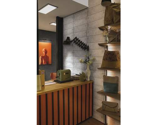 Interiér s pultem, lampou a regály se zbožím