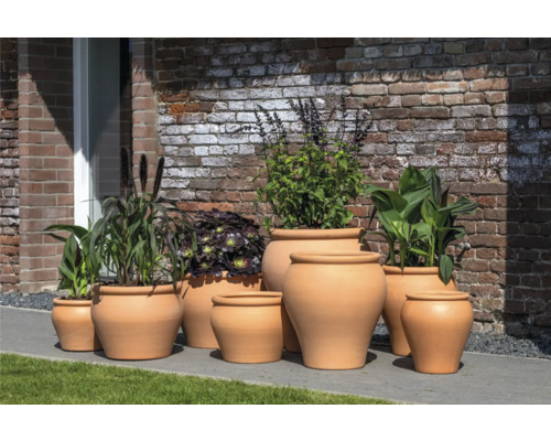 Skupina terakotových květináčů s různými rostlinami před cihlovou zdí