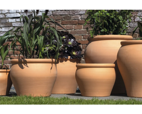 Různé osázené terakotové květináče před cihlovou zdí.