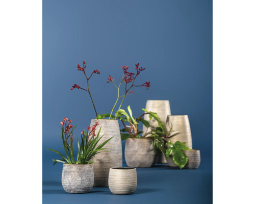 Různé rostliny a květiny v květináčích a vázách.