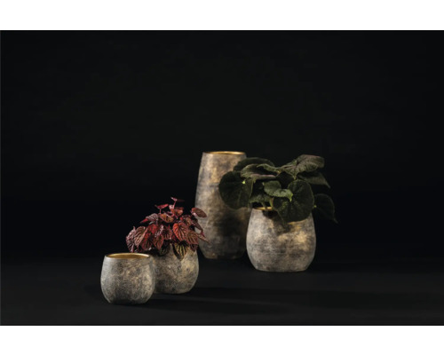 Různé rostliny ve strukturovaných květináčích