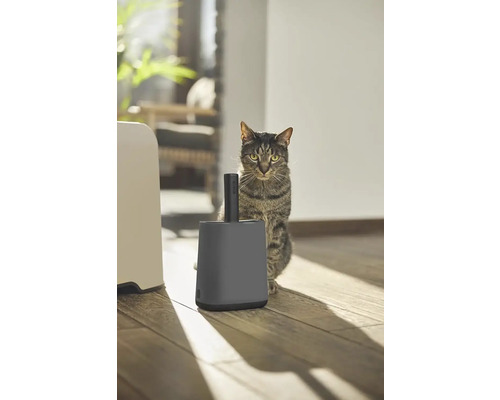 Kočka vedle kočičí toalety a lopatky na stelivo